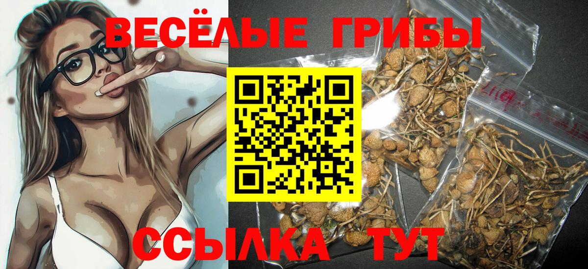 Псилоцибиновые грибы MAGIC MUSHROOMS  Вход с VPN  Видное  Галлюциногенные грибы Psilocybe 