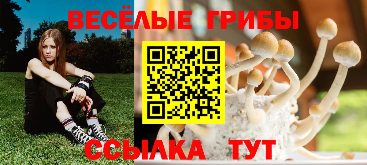 Галлюциногенные грибы Magic Shrooms Видное